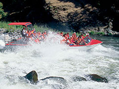 Photo of jet boat on Rogue River